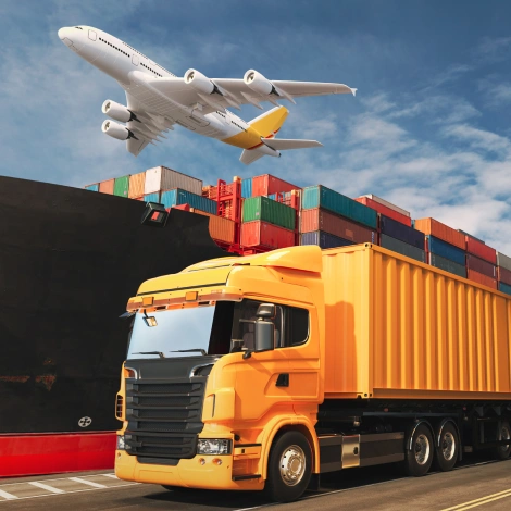 snag-packers-movers
