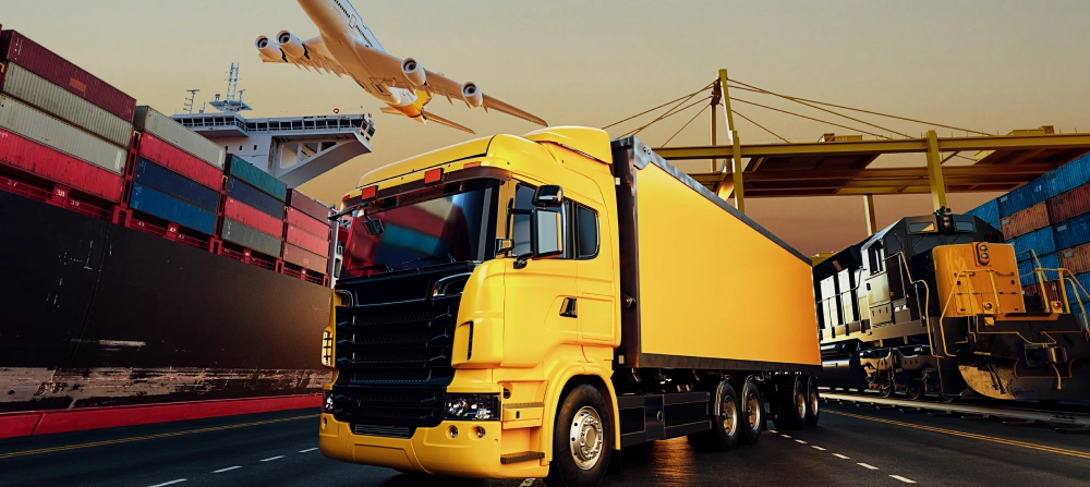 snag-packers-movers