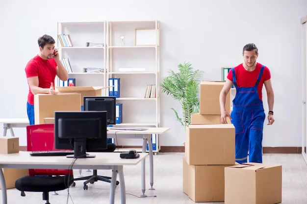 snag-packers-movers